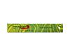 Auroshikha Green Apple Incense